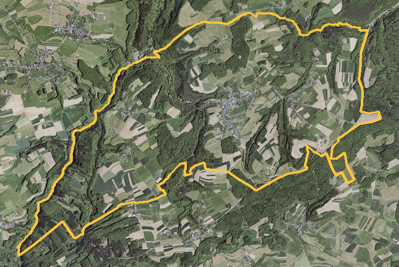 Orthophotographie officielle de la commune de Consdorf (geoportail
national du Luxembourg), limites communales soulignees en ambre