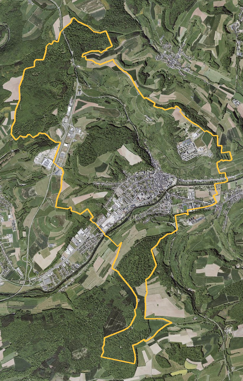 Orthophotographie officielle de la commune de Diekirch (geoportail
national du Luxembourg), limites communales soulignees en ambre