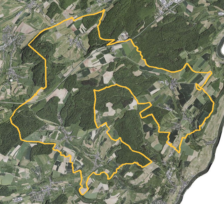 Orthophotographie officielle de la commune de Flaxweiler (geoportail
national du Luxembourg), limites communales soulignees en ambre