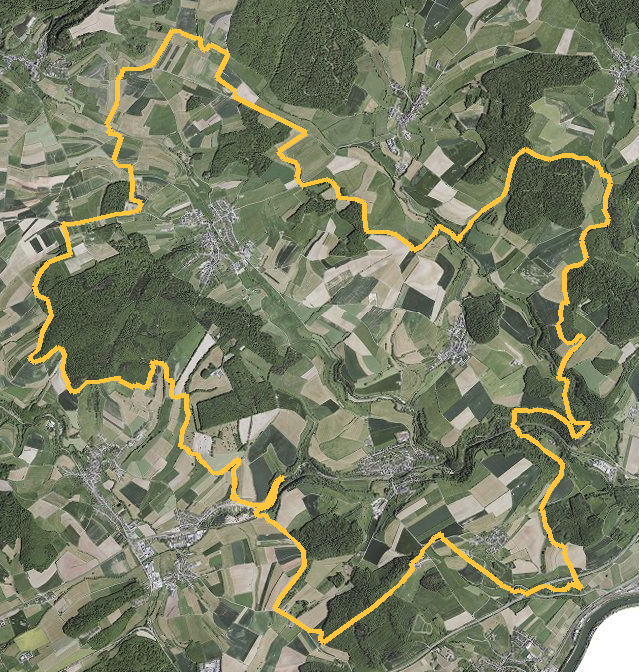 Orthophotographie officielle de la commune de Manternach (geoportail
national du Luxembourg), limites communales soulignees en ambre