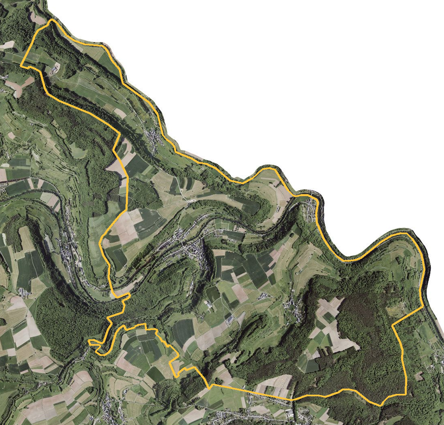 Orthophotographie officielle de la commune de Reisdorf (geoportail
national du Luxembourg), limites communales soulignees en ambre