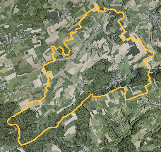 Orthophotographie officielle de la commune de Saeul (geoportail
national du Luxembourg), limites communales soulignees en ambre