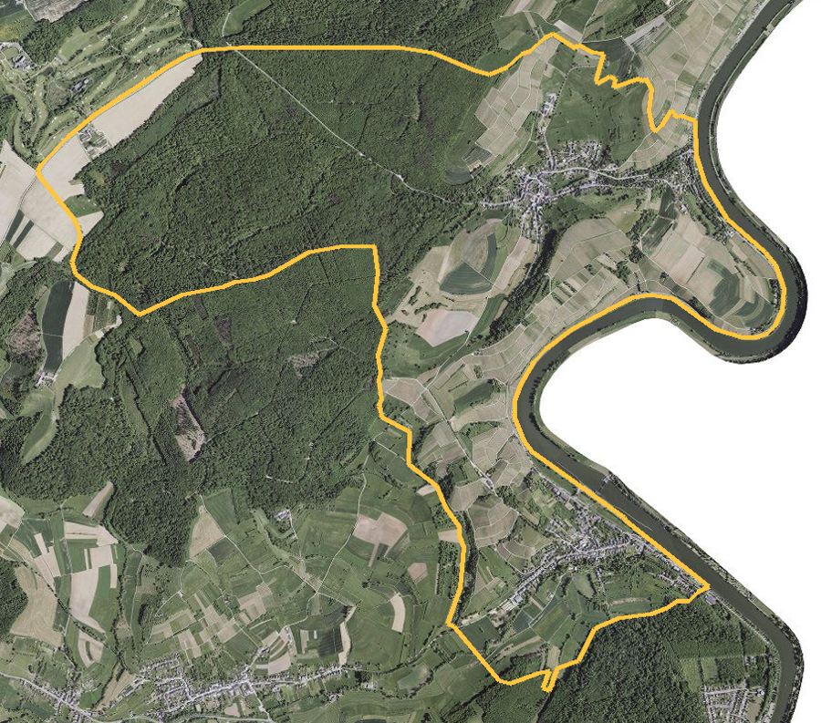 Orthophotographie officielle de la commune de Stadtbredimus (geoportail
national du Luxembourg), limites communales soulignees en ambre