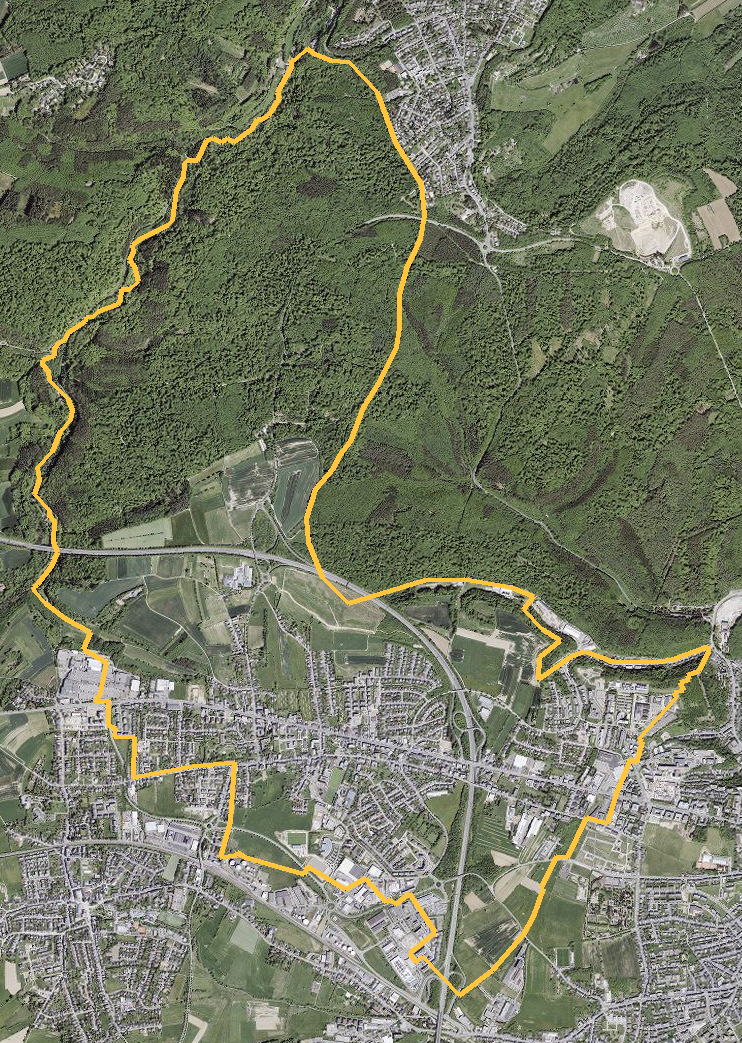 Orthophotographie officielle de la commune de Strassen (geoportail
national du Luxembourg), limites communales soulignees en ambre
