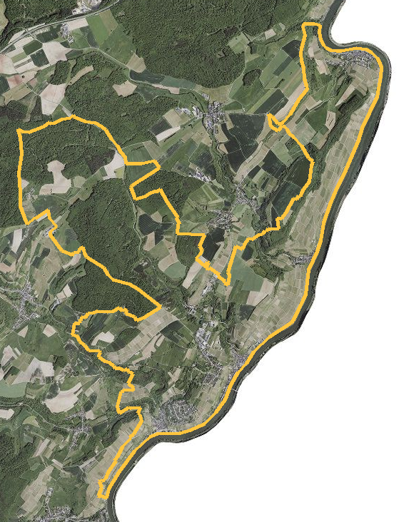 Orthophotographie officielle de la commune de Wormeldange (geoportail
national du Luxembourg), limites communales soulignees en ambre